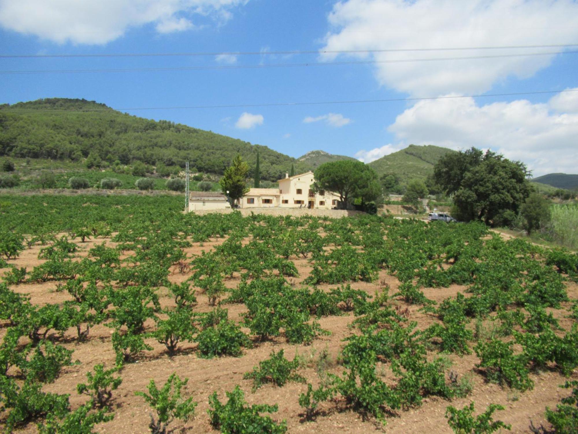 Casa Rural Cal Marti El Pla de Manlleu Extérieur photo